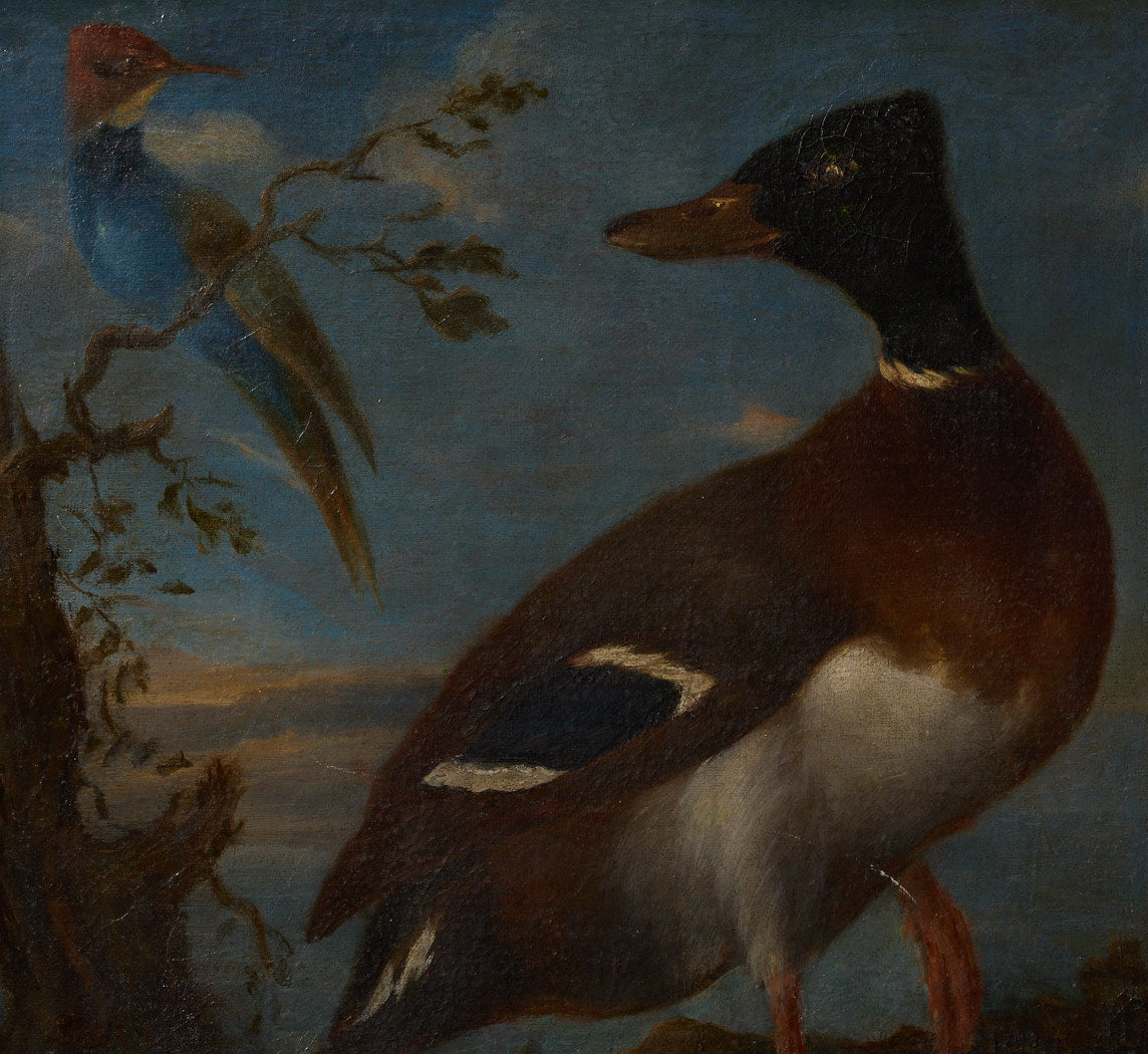 18TH CENTURY DUCK WITH EXOTIC BIRD ATTR. TO PIETER III CASTEELS (1684-1749)