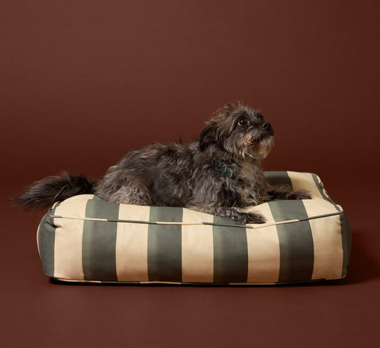 PIERCE & WARD DOG BED IN KYOTO STRIPE (MULTIPLE SIZES)