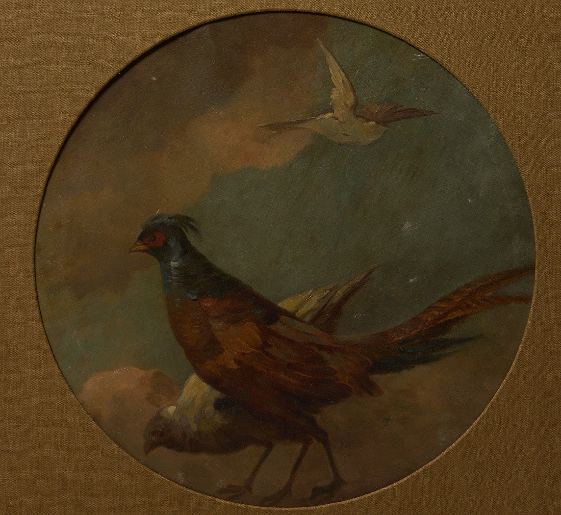19TH CENTURY EUROPEAN SCHOOL PHEASANT STUDY