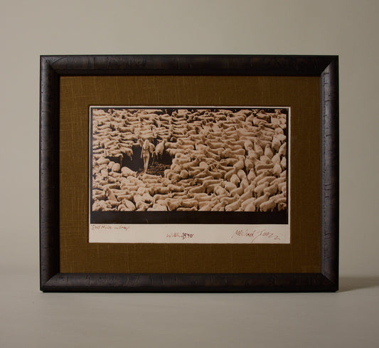 1970S “INSANITY OF SHEEP” SIGNED DARK ROOM PRINT