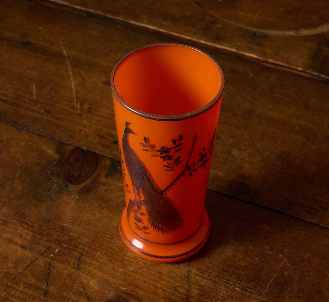 VINTAGE TANGO GLASS PEACOCK DRINKING SET