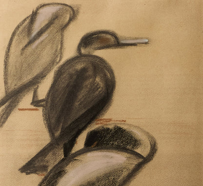 EARLY 20TH CENTURY SKETCH OF DUCKS