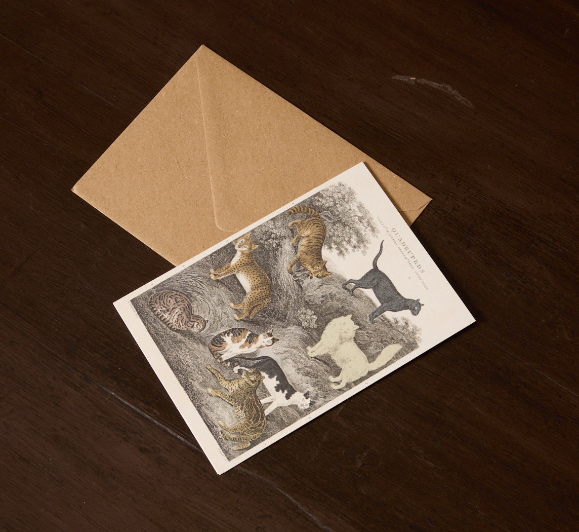 GREETING CARD