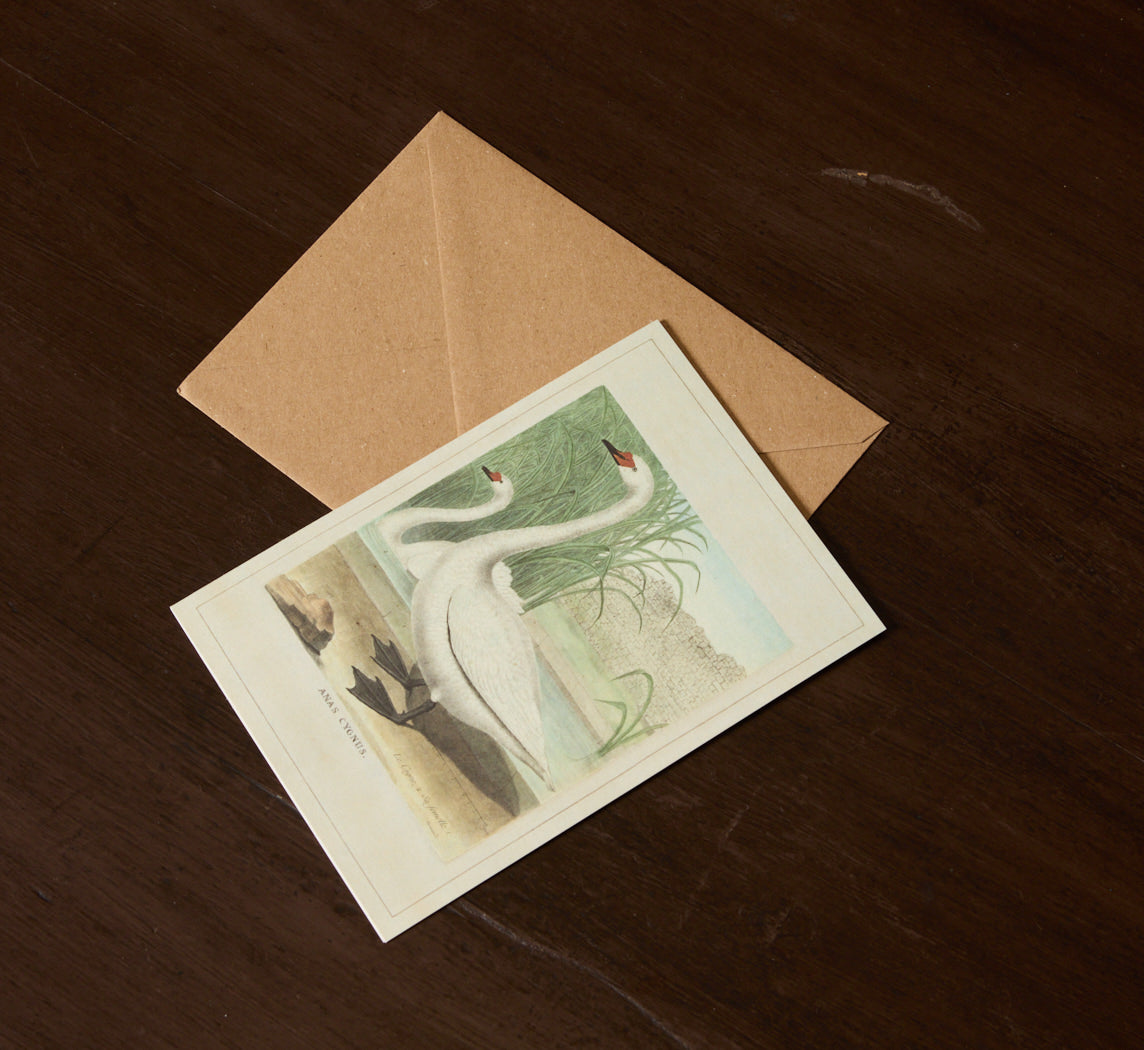 GREETING CARD