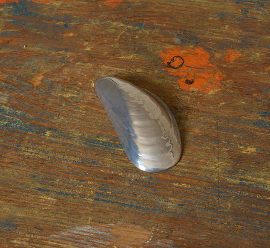 MARCEL MUSSEL SHELL STEEL BOTTLE OPENER
