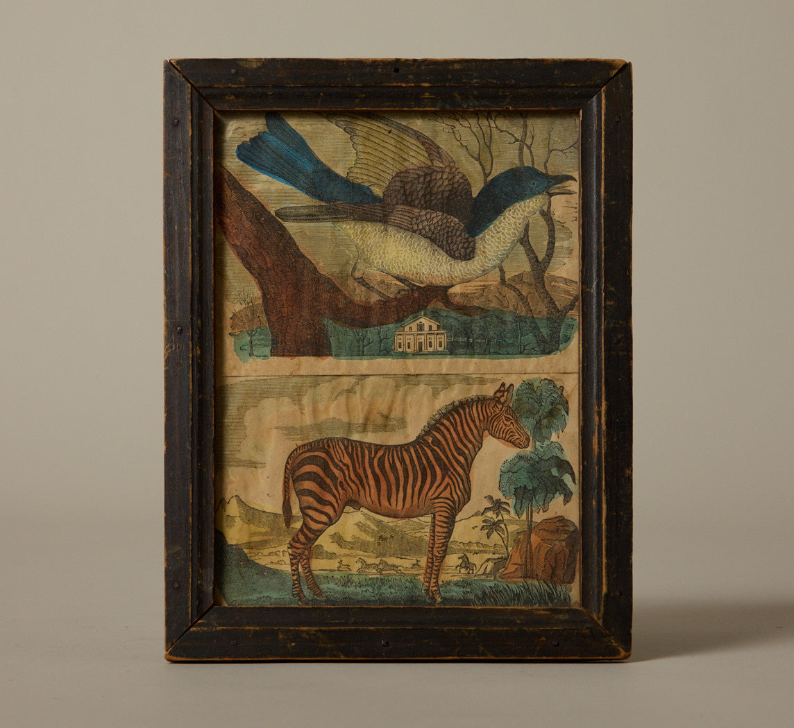 ANTIQUE ZEBRA AND BIRD PRINT