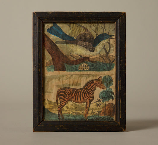 ANTIQUE ZEBRA AND BIRD PRINT