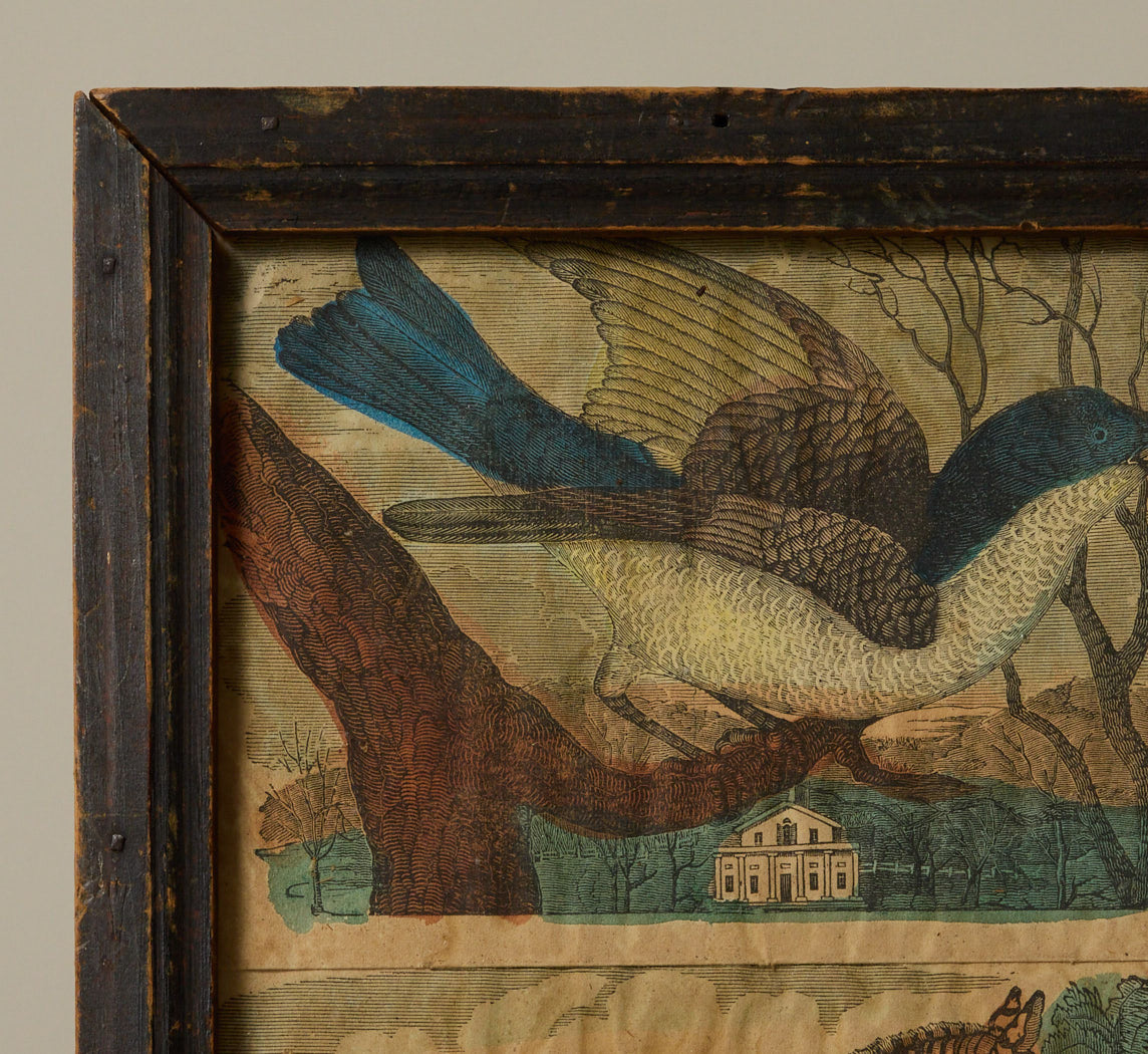ANTIQUE ZEBRA AND BIRD PRINT