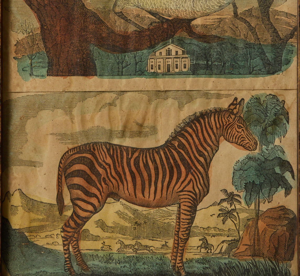ANTIQUE ZEBRA AND BIRD PRINT