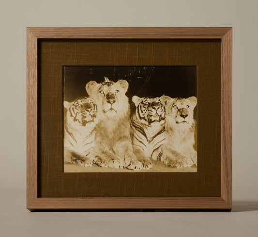 VINTAGE CIRCUS PHOTOGRAPHS BY H.A  ATWELL (1879-1957) II